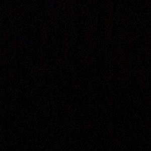 Meet your Posher, Irma